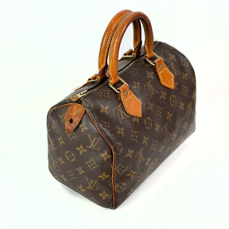 Louis Vuitton Speedy (25)