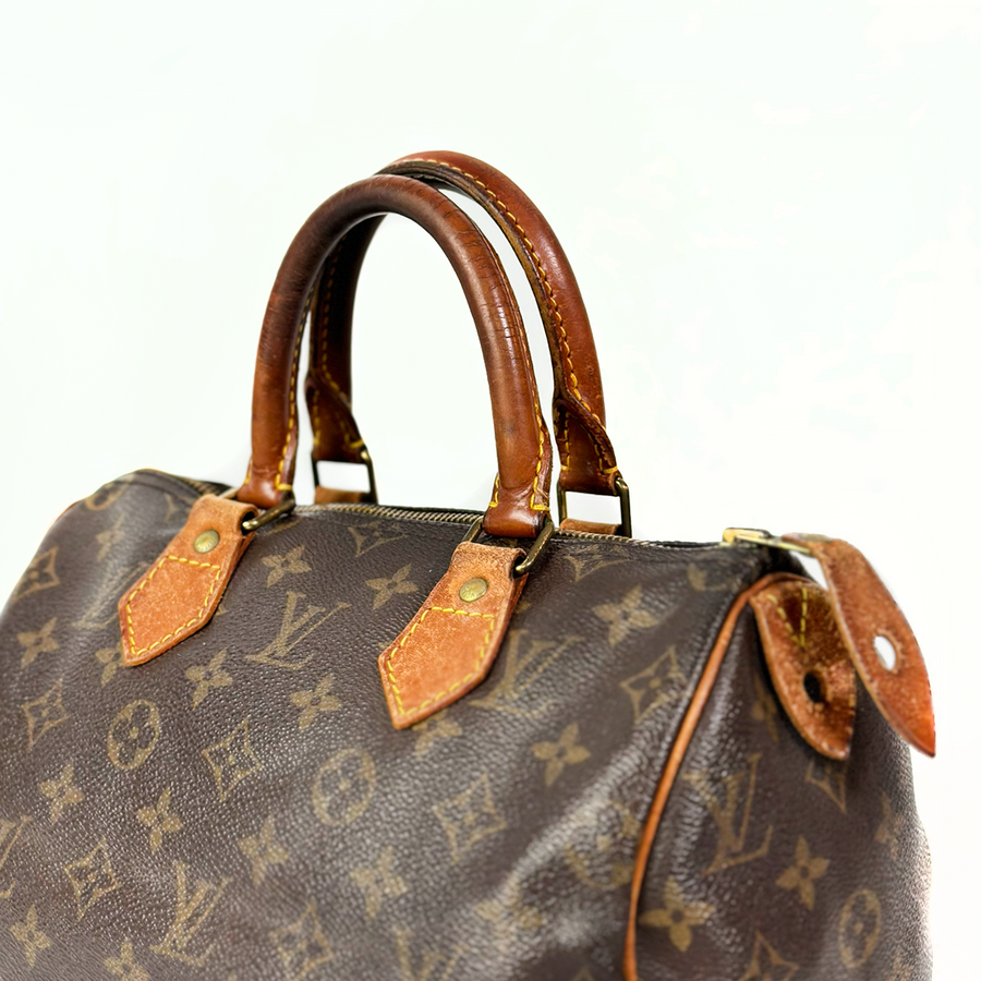 Louis Vuitton Speedy (25)