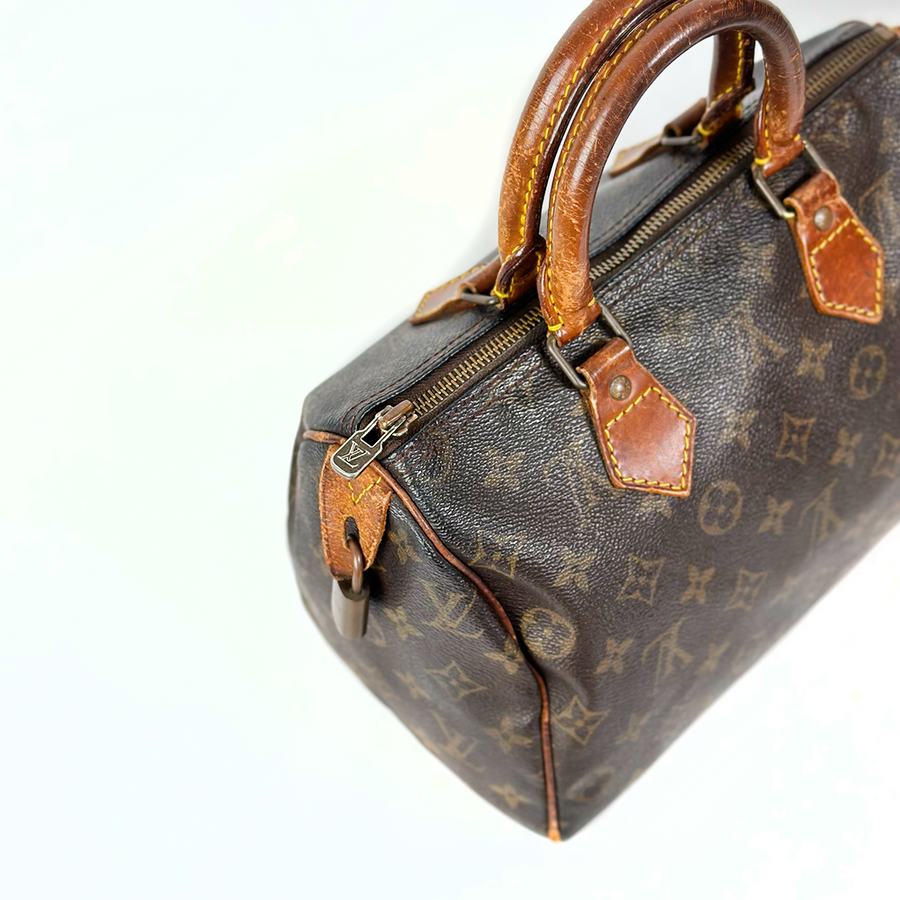 Louis Vuitton Speedy (25)