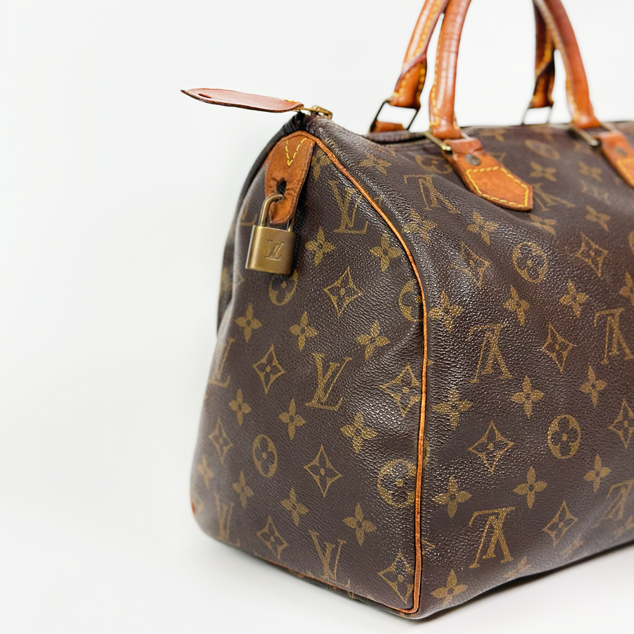 Louis Vuitton Speedy (30)