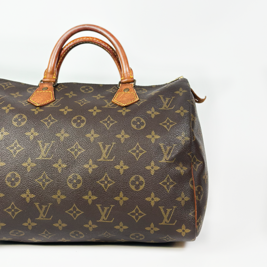 Louis Vuitton Speedy (30)