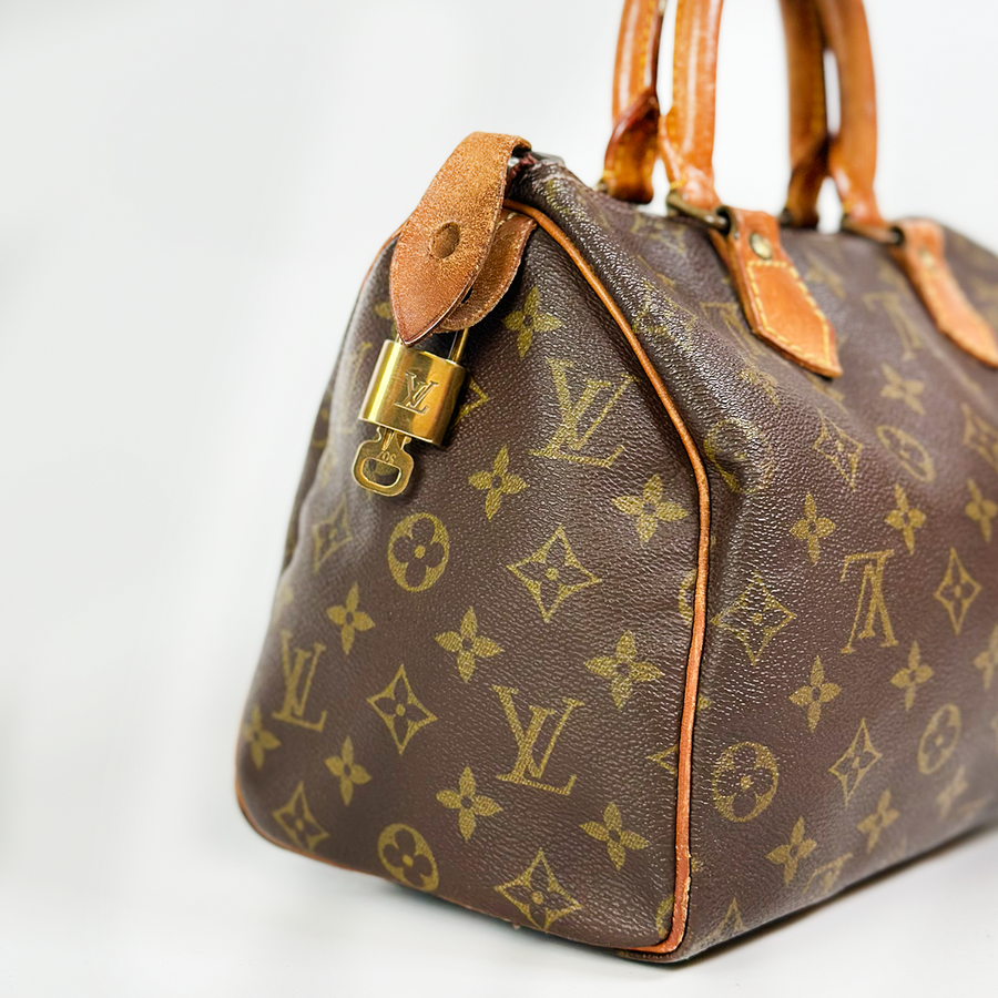 Louis Vuitton Speedy (25)