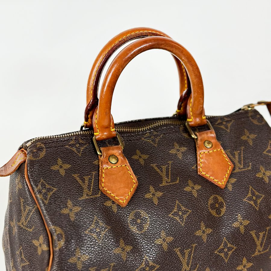 Louis Vuitton Speedy (25)