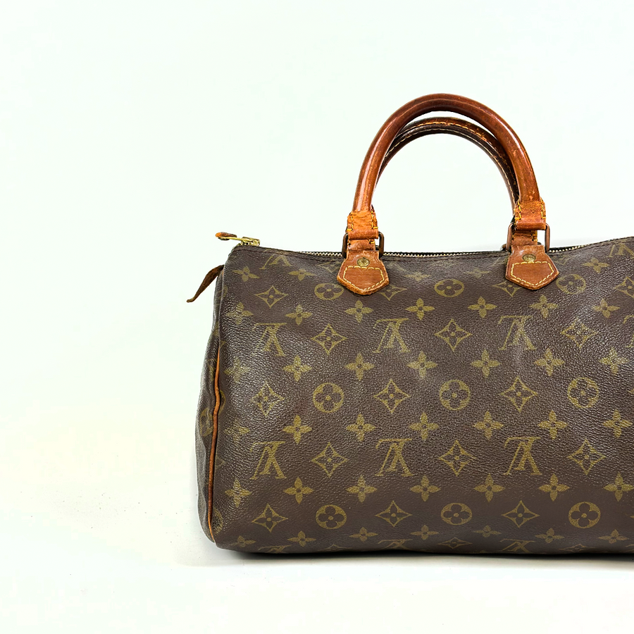 Louis Vuitton Speedy (30)