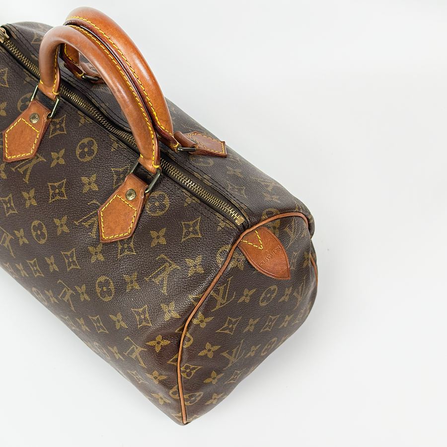 Louis Vuitton Speedy (30)