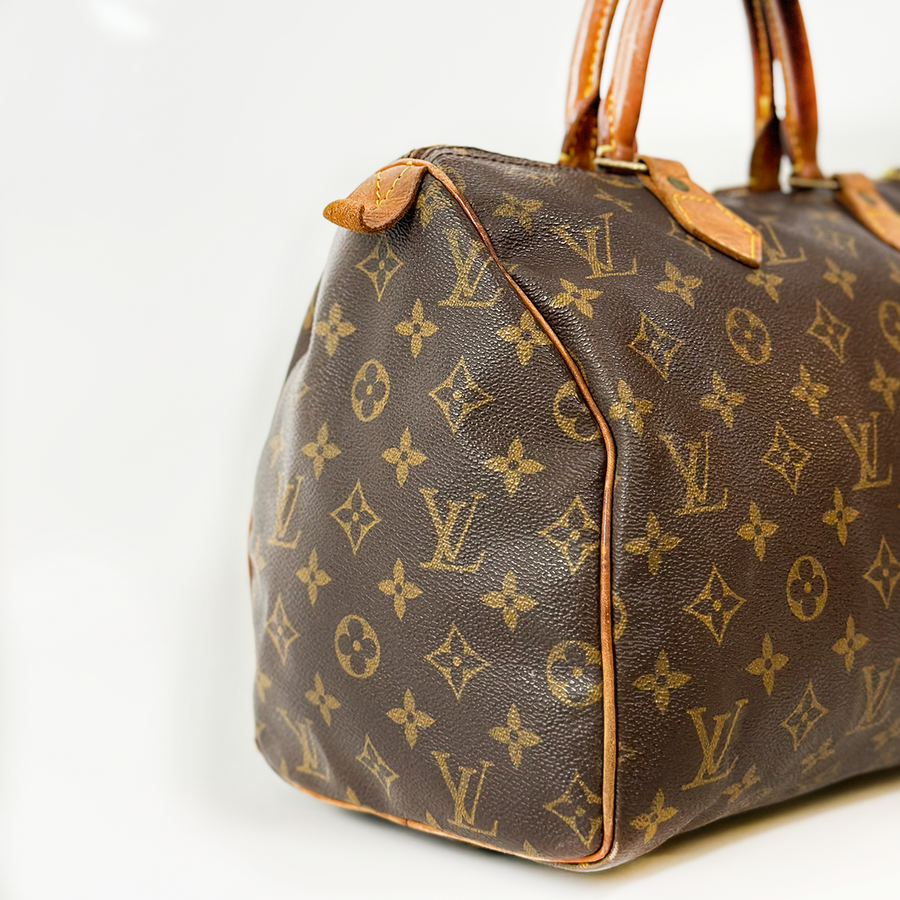 Louis Vuitton Speedy (30)