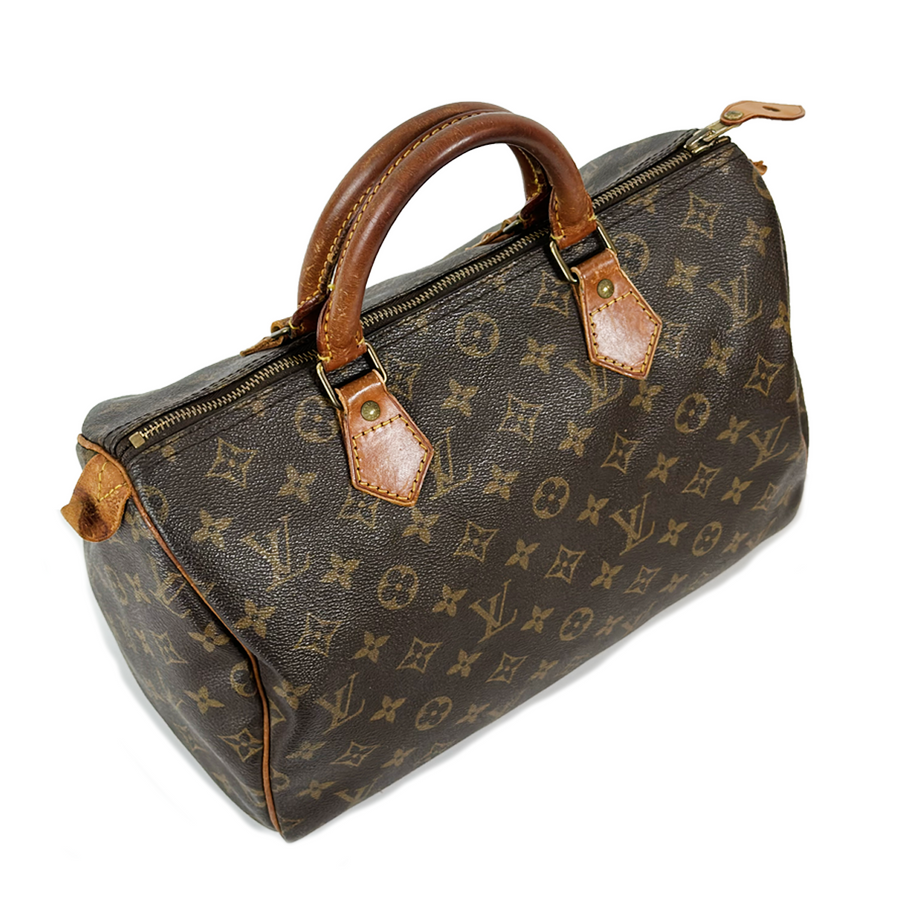 Louis Vuitton Speedy (30)