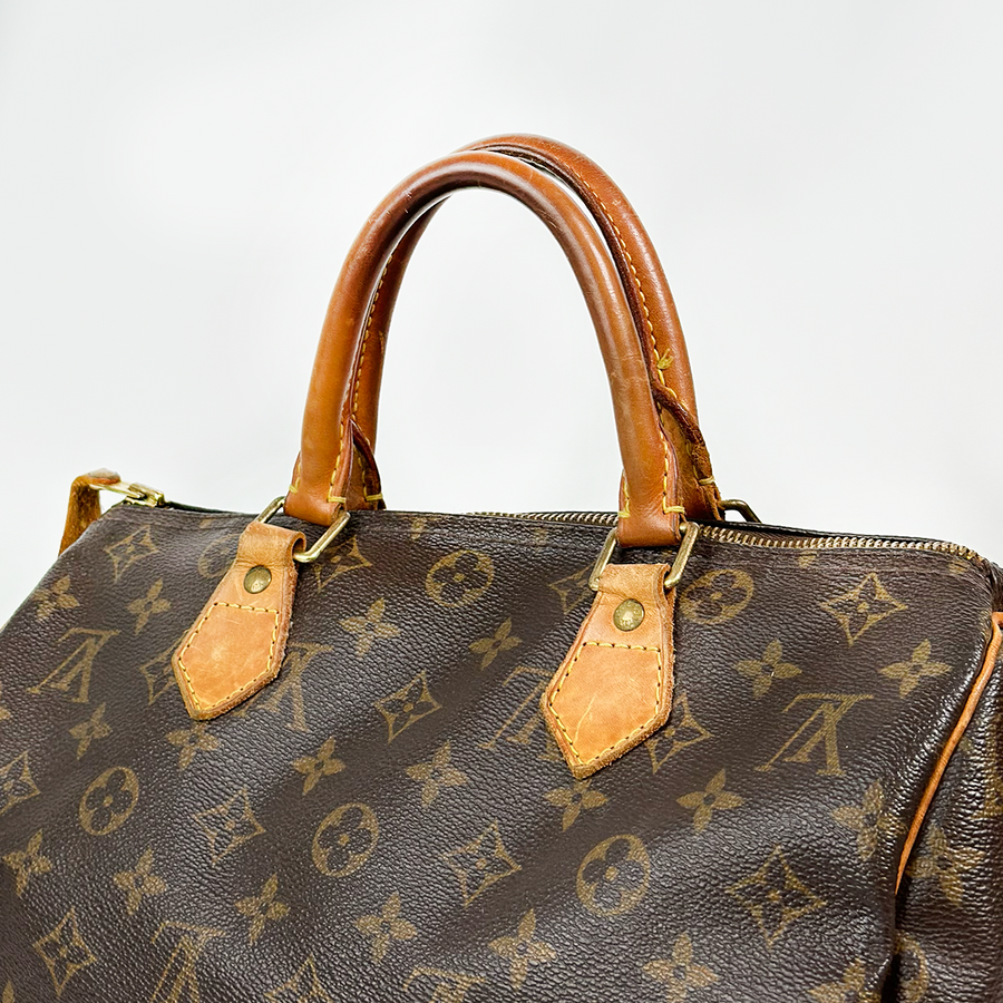 Louis Vuitton Speedy (30)