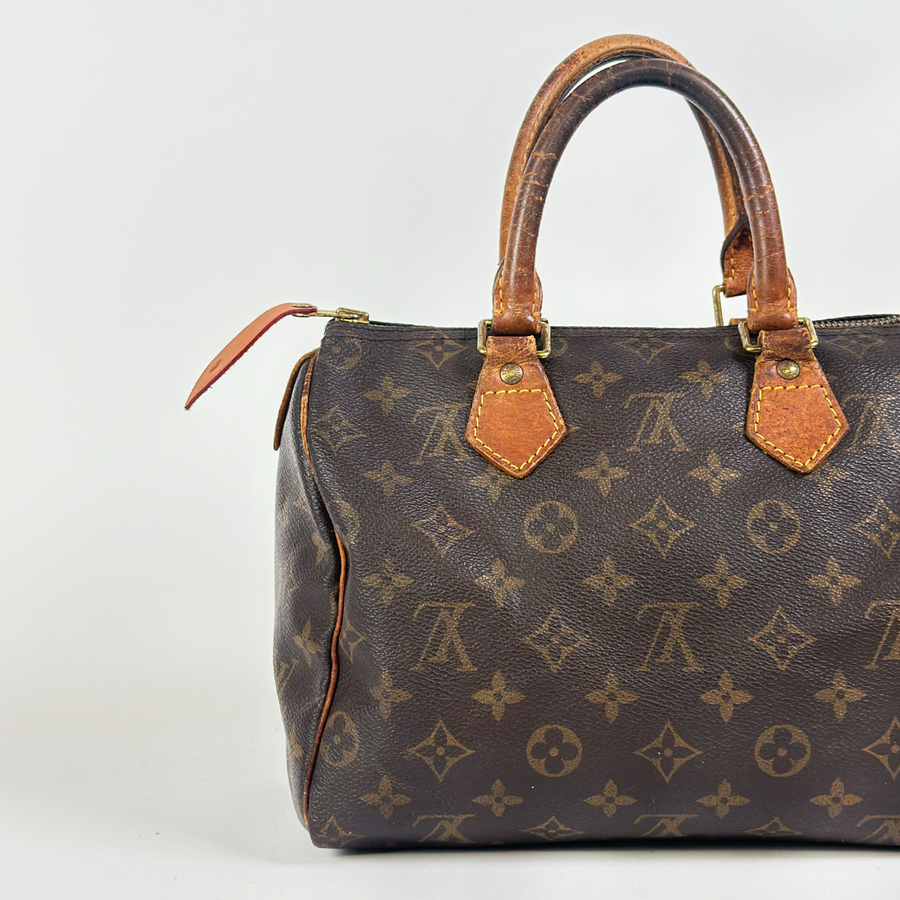 Louis Vuitton Speedy (25)