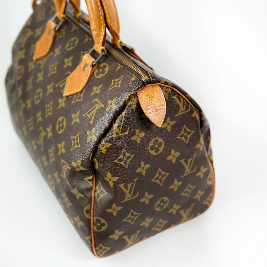 Louis Vuitton Speedy (30)