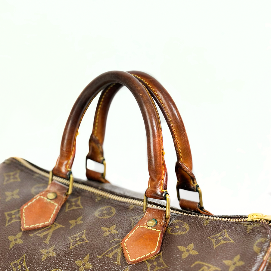 Louis Vuitton Speedy (30)