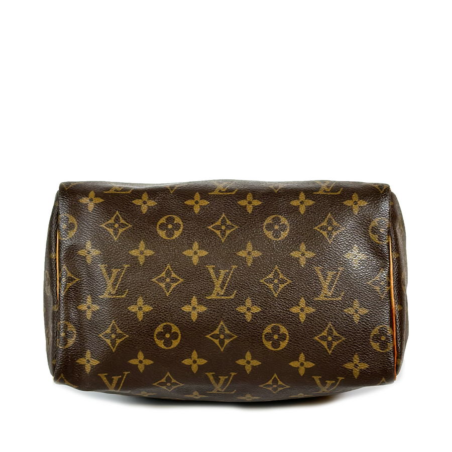 Louis Vuitton Speedy (25)