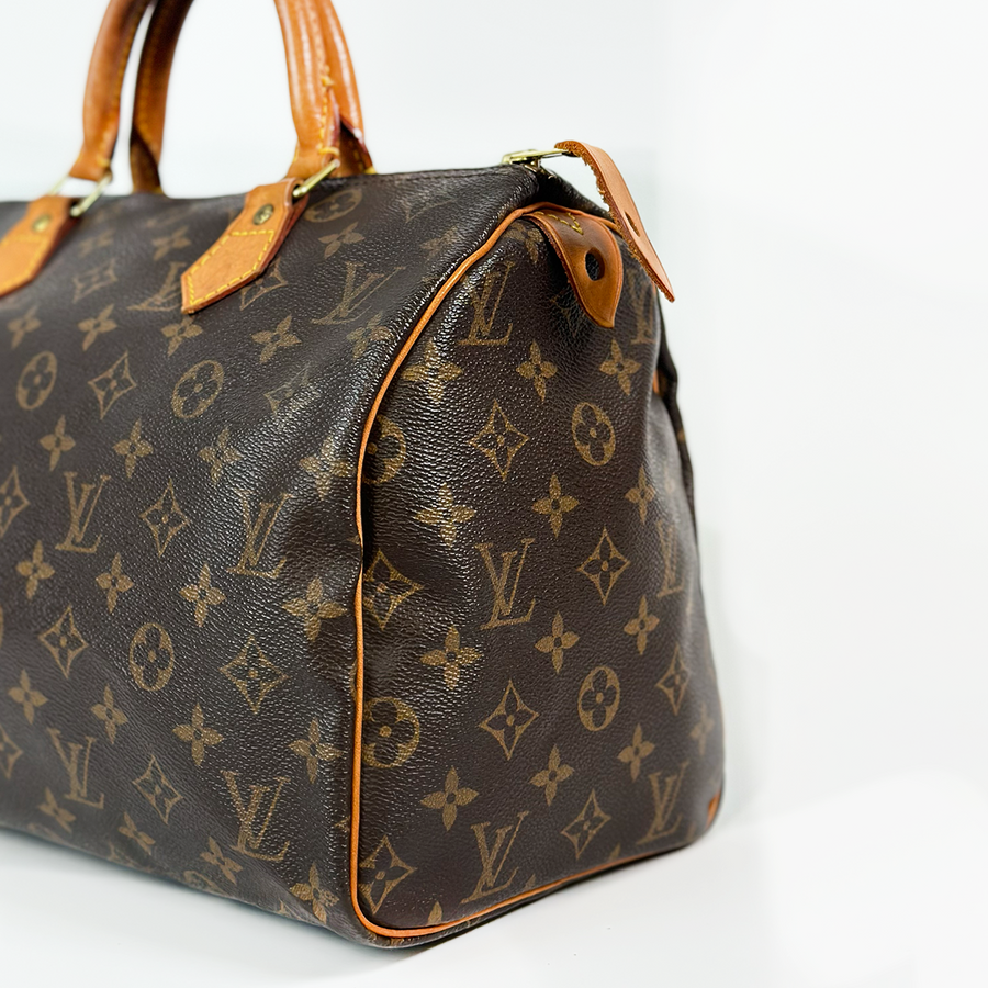 Louis Vuitton Speedy (30)