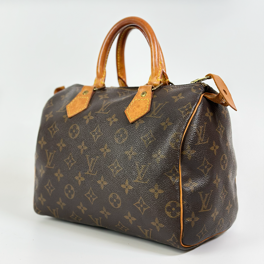 Louis Vuitton Speedy (25)