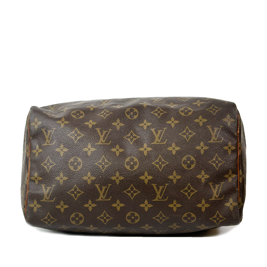 Louis Vuitton Speedy (30)