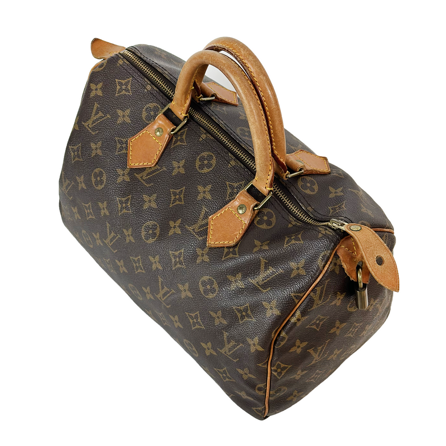 Louis Vuitton Speedy (30)