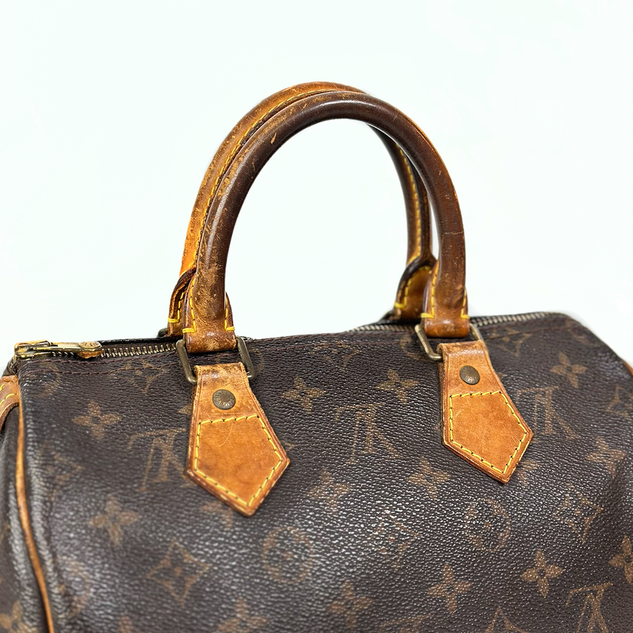 Louis Vuitton Speedy (25)