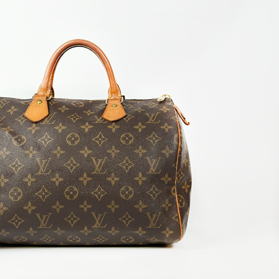 Louis Vuitton Speedy (30)