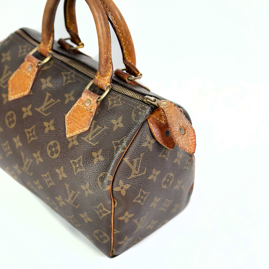 Louis Vuitton Speedy (25)