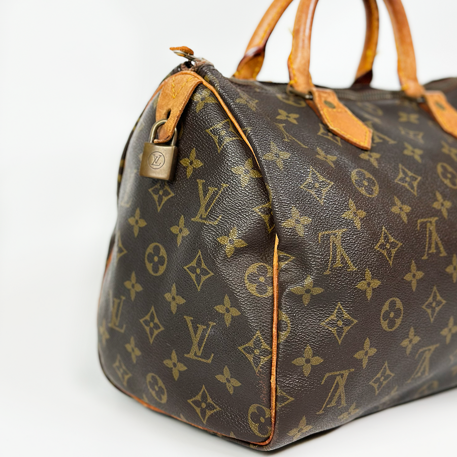 Louis Vuitton Speedy (30)