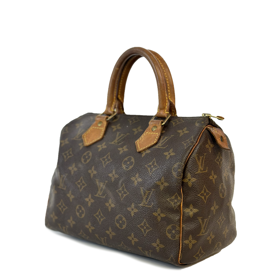 Louis Vuitton Speedy (25)