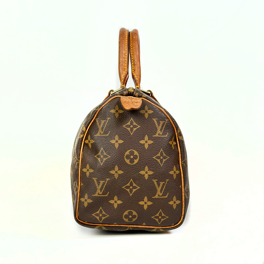 Louis Vuitton Speedy (25)