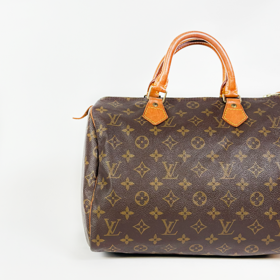 Louis Vuitton Speedy (30)