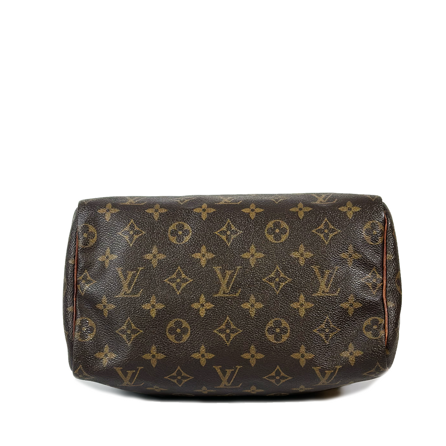 Louis Vuitton Speedy (25)