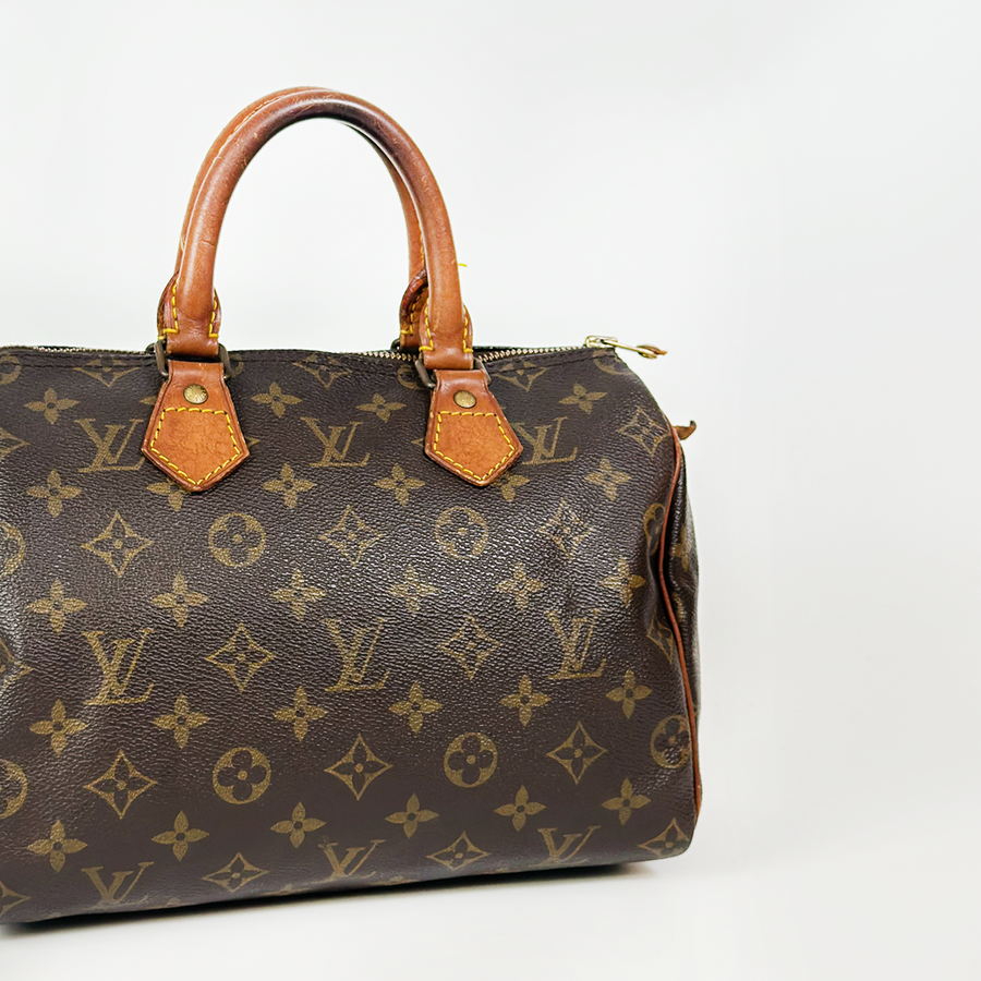 Louis Vuitton Speedy (25)