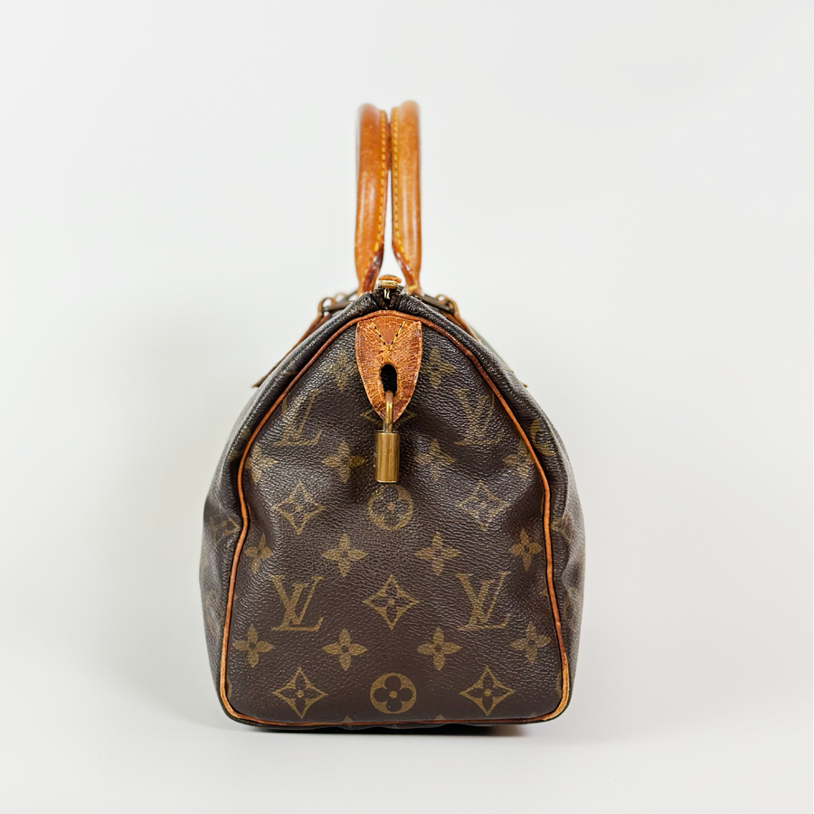 Louis Vuitton Speedy (25)