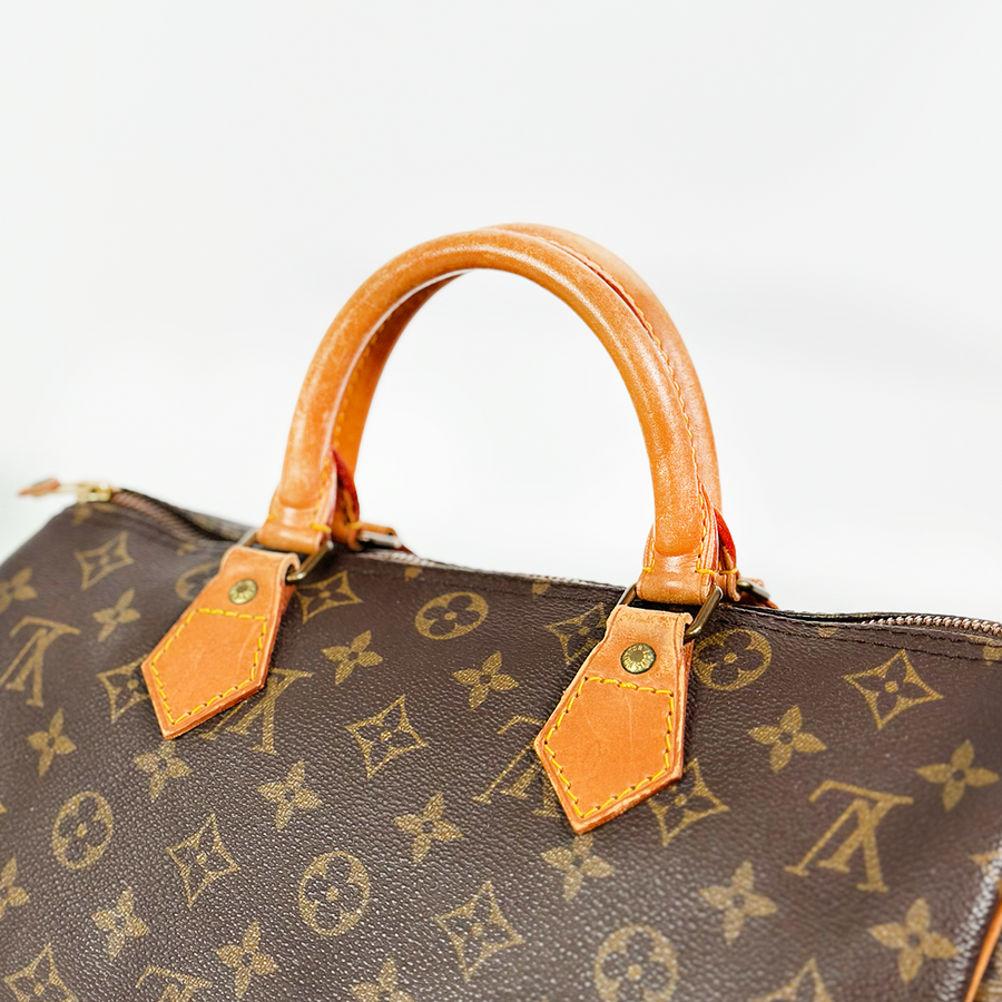 Louis Vuitton Speedy (30)