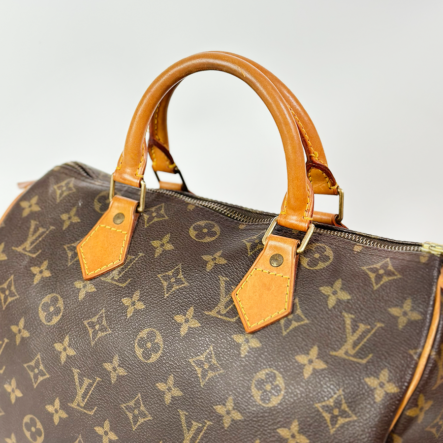 Louis Vuitton Speedy (30)