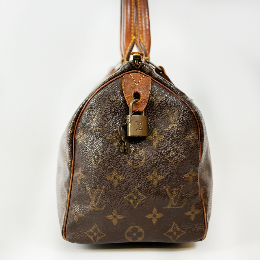 Louis Vuitton Speedy (25)