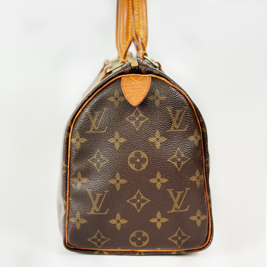 Louis Vuitton Speedy (25)