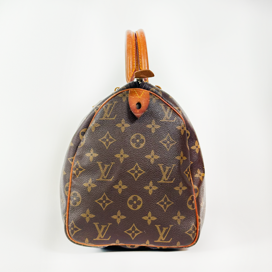 Louis Vuitton Speedy (30)