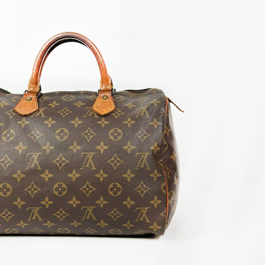 Louis Vuitton Speedy (30)