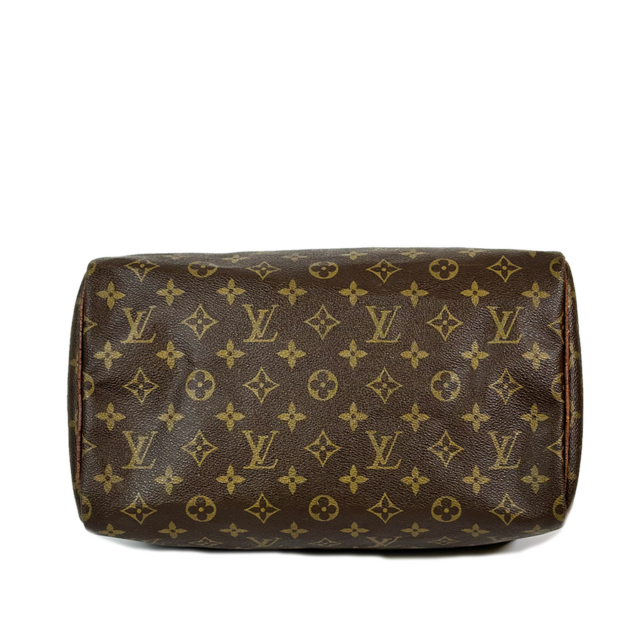 Louis Vuitton Speedy (30)