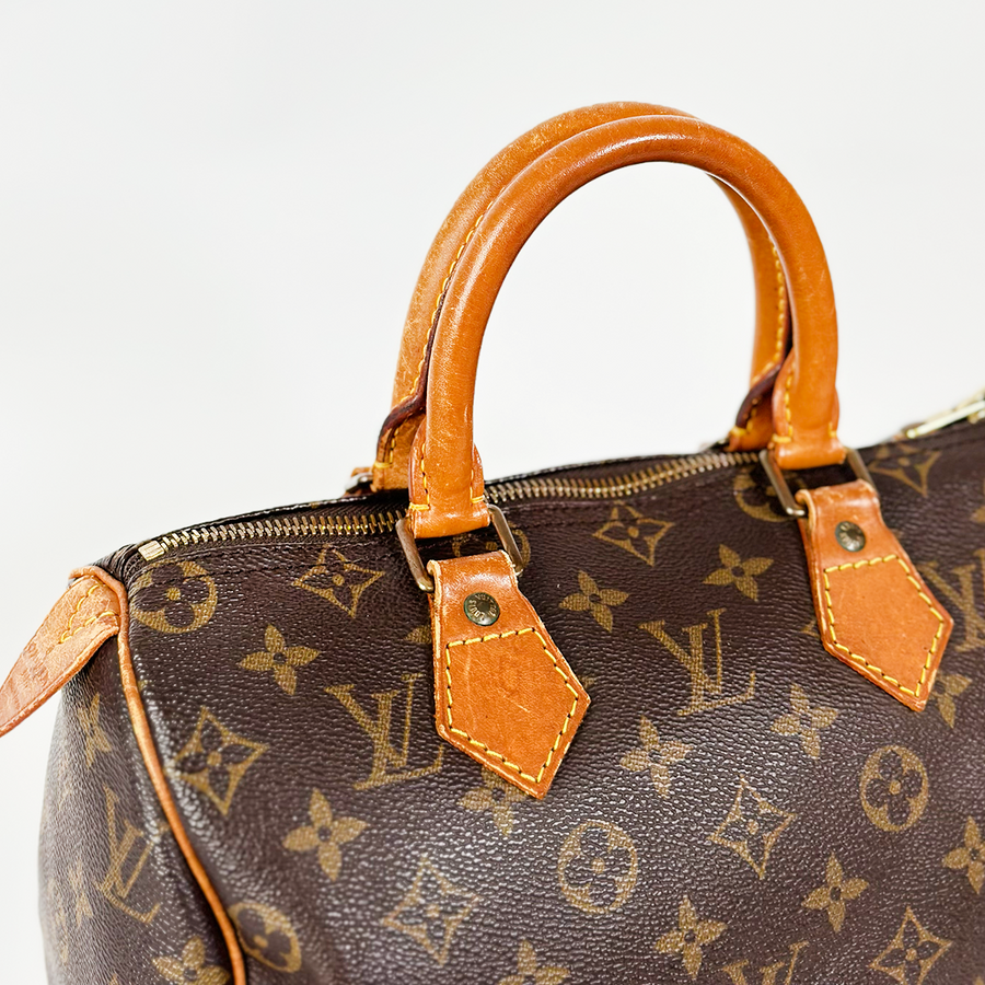 Louis Vuitton Speedy (25)