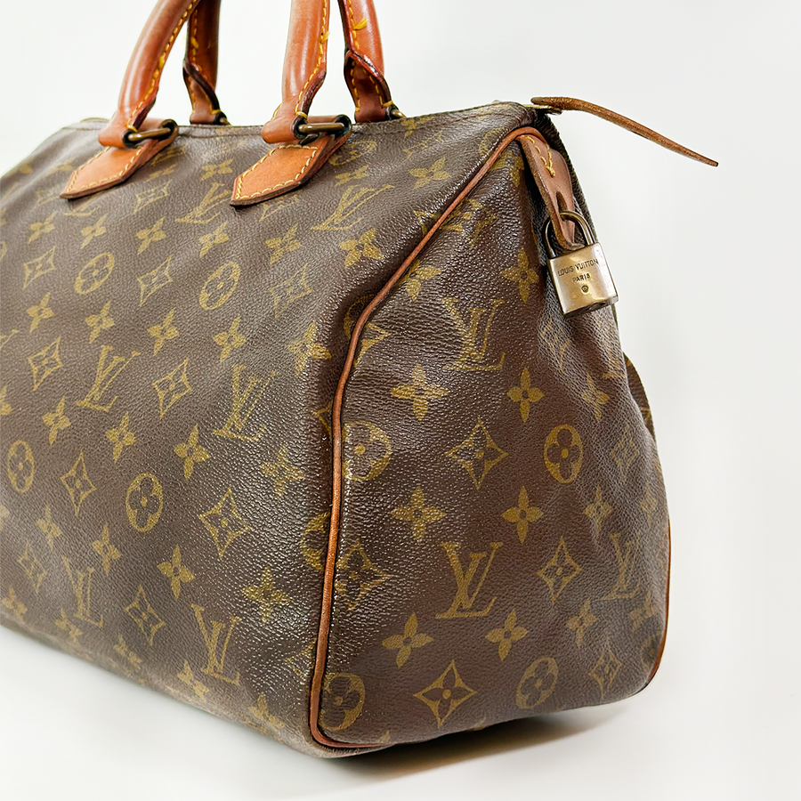 Louis Vuitton Speedy (30)