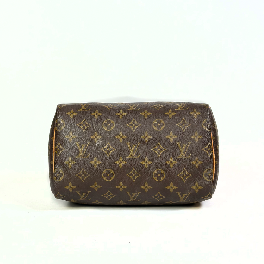 Louis Vuitton Speedy (25)