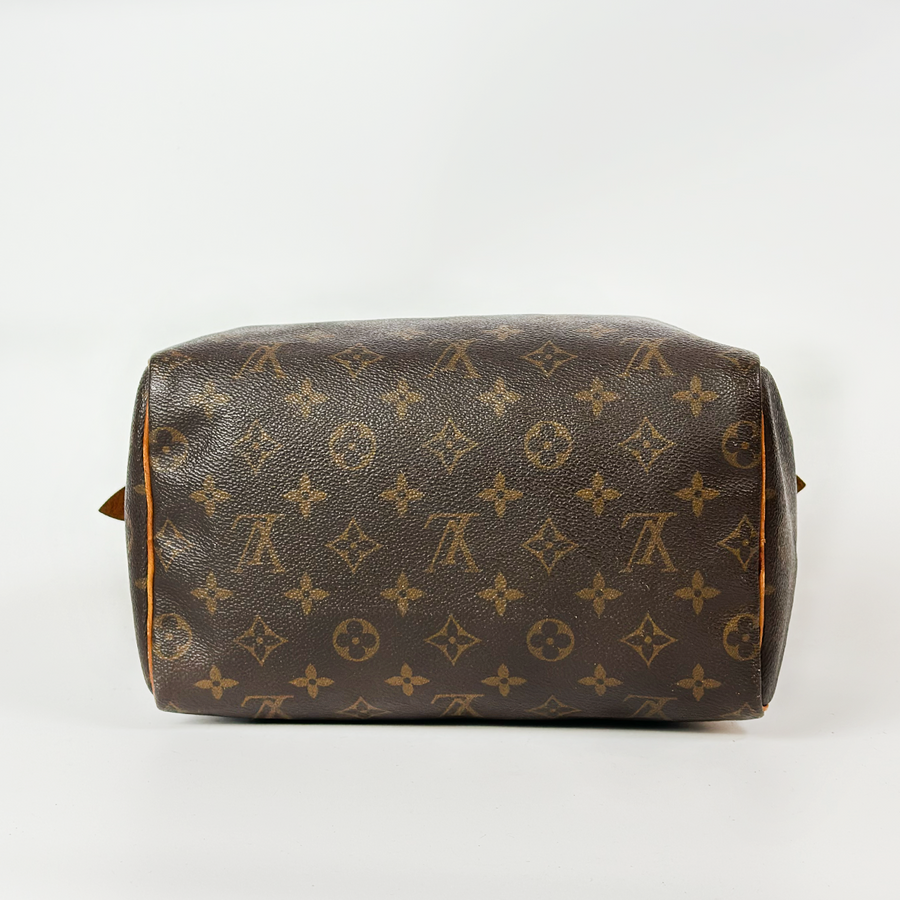 Louis Vuitton Speedy (25)