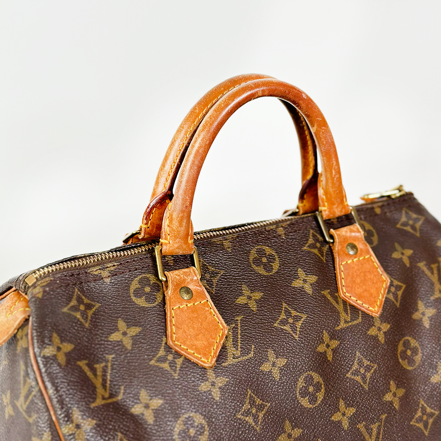 Louis Vuitton Speedy (30)