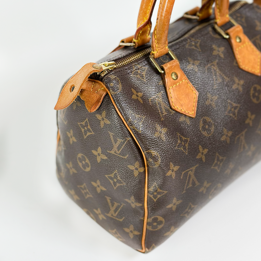 Louis Vuitton Speedy (25)