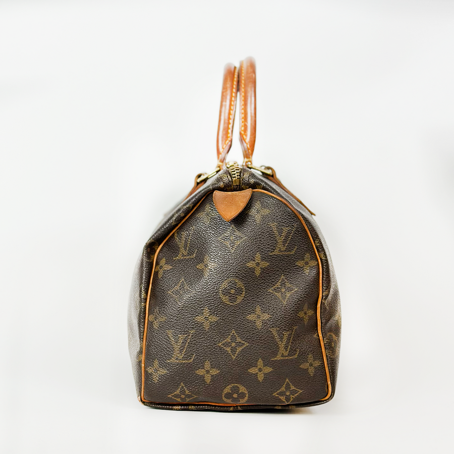 Louis Vuitton Speedy (25)