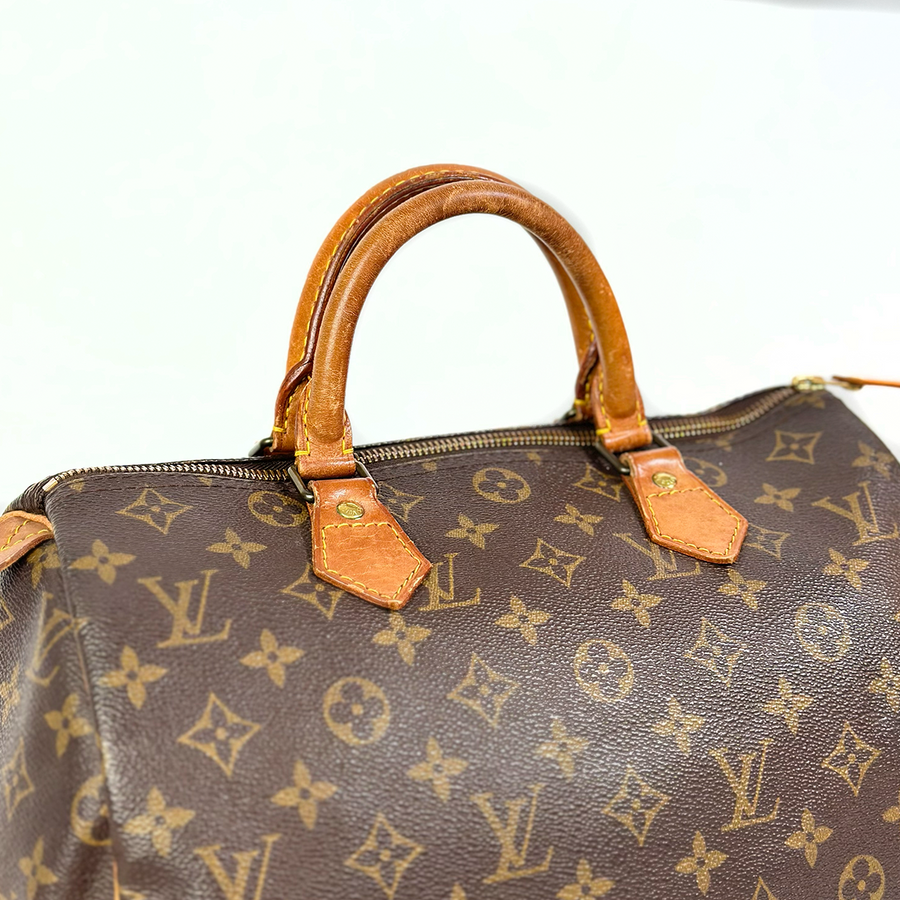 Louis Vuitton Speedy (30)