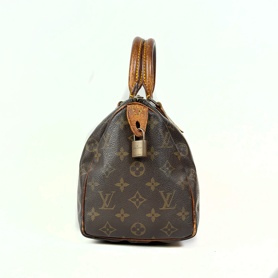 Louis Vuitton Speedy (25)