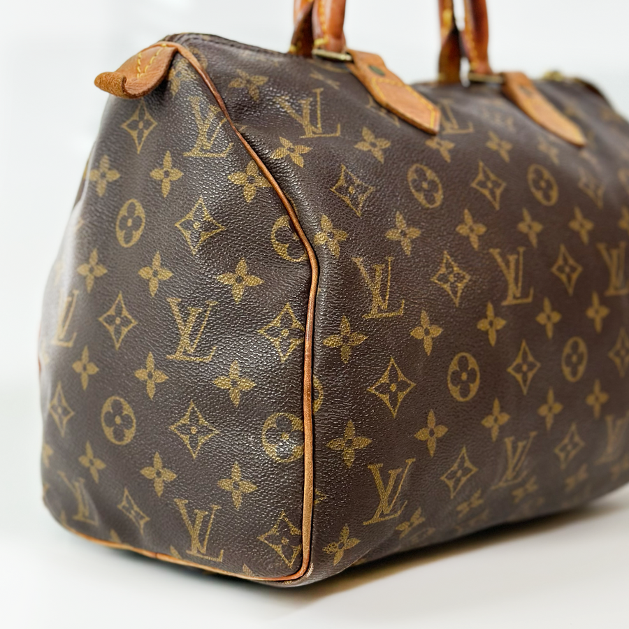 Louis Vuitton Speedy (30)