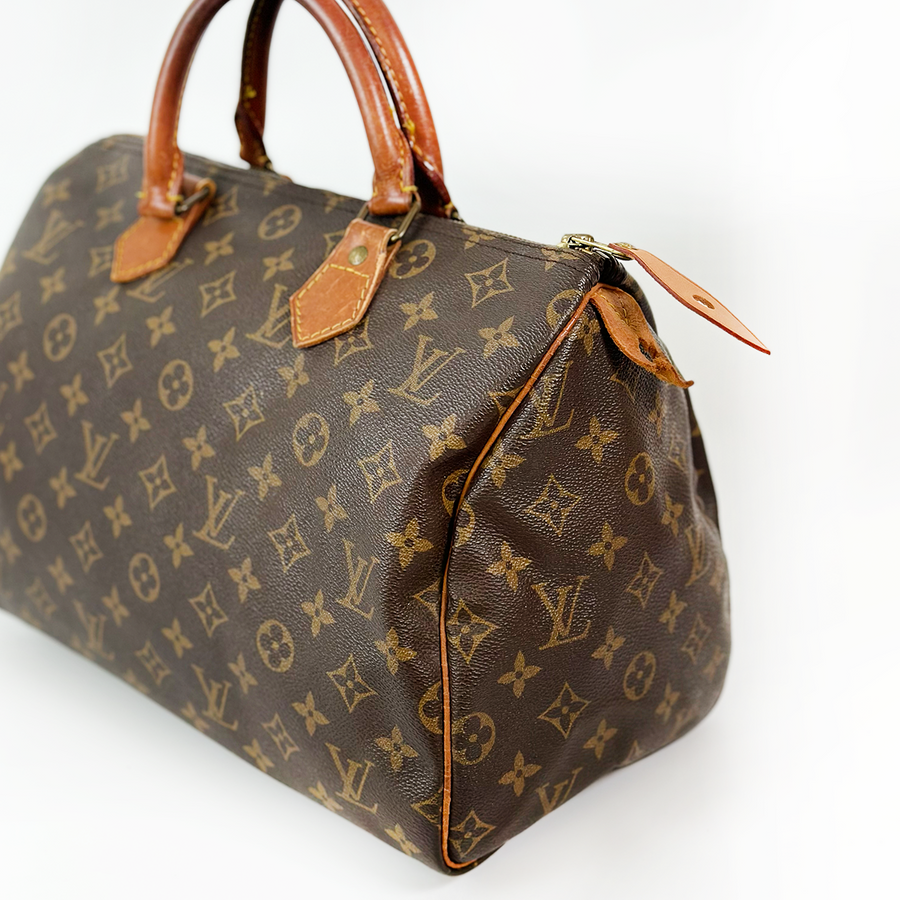 Louis Vuitton Speedy (30)