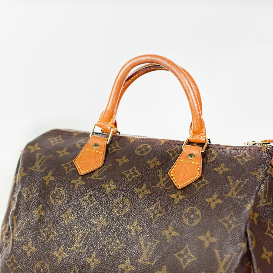 Louis Vuitton Speedy (30)