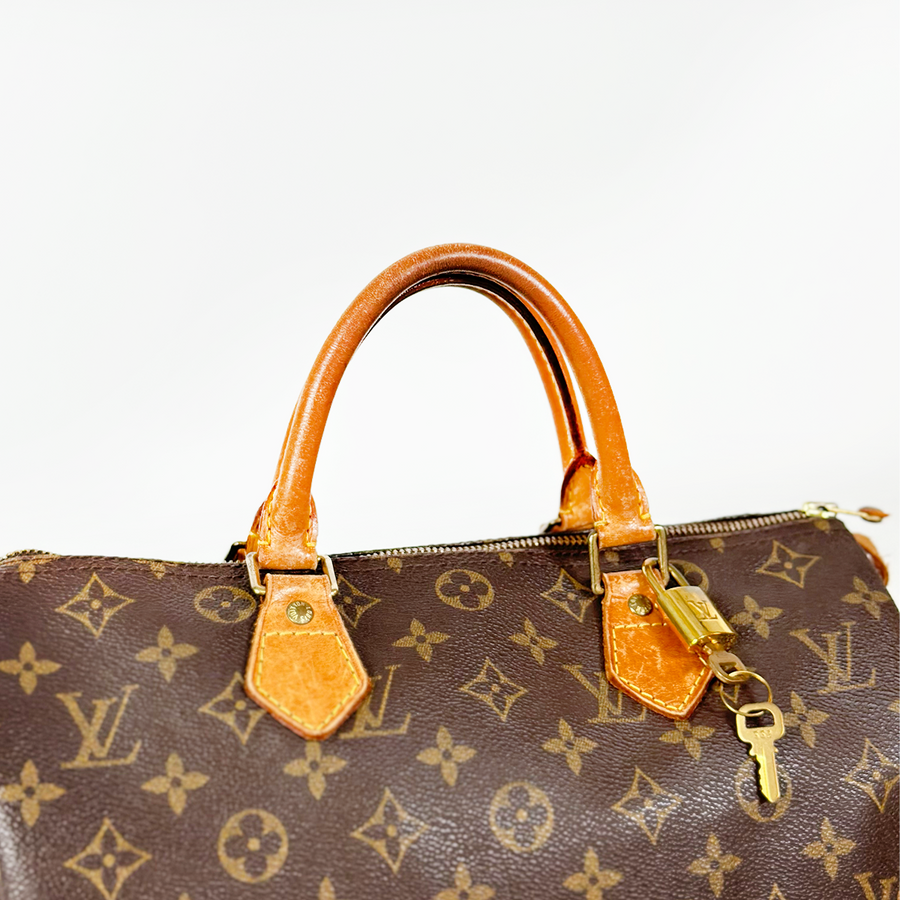 Louis Vuitton Speedy (30)